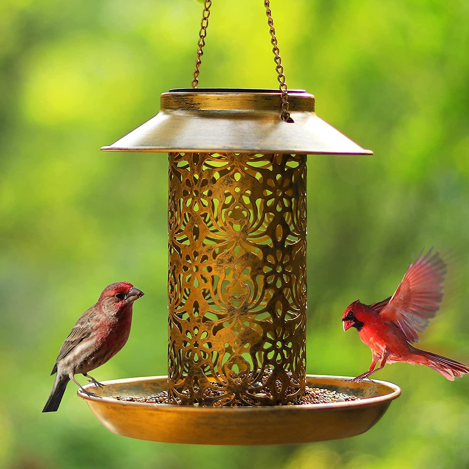 Hanging Bird House Metal Outdo – Outdoor Lighting Decor Ideas recenzja i cena